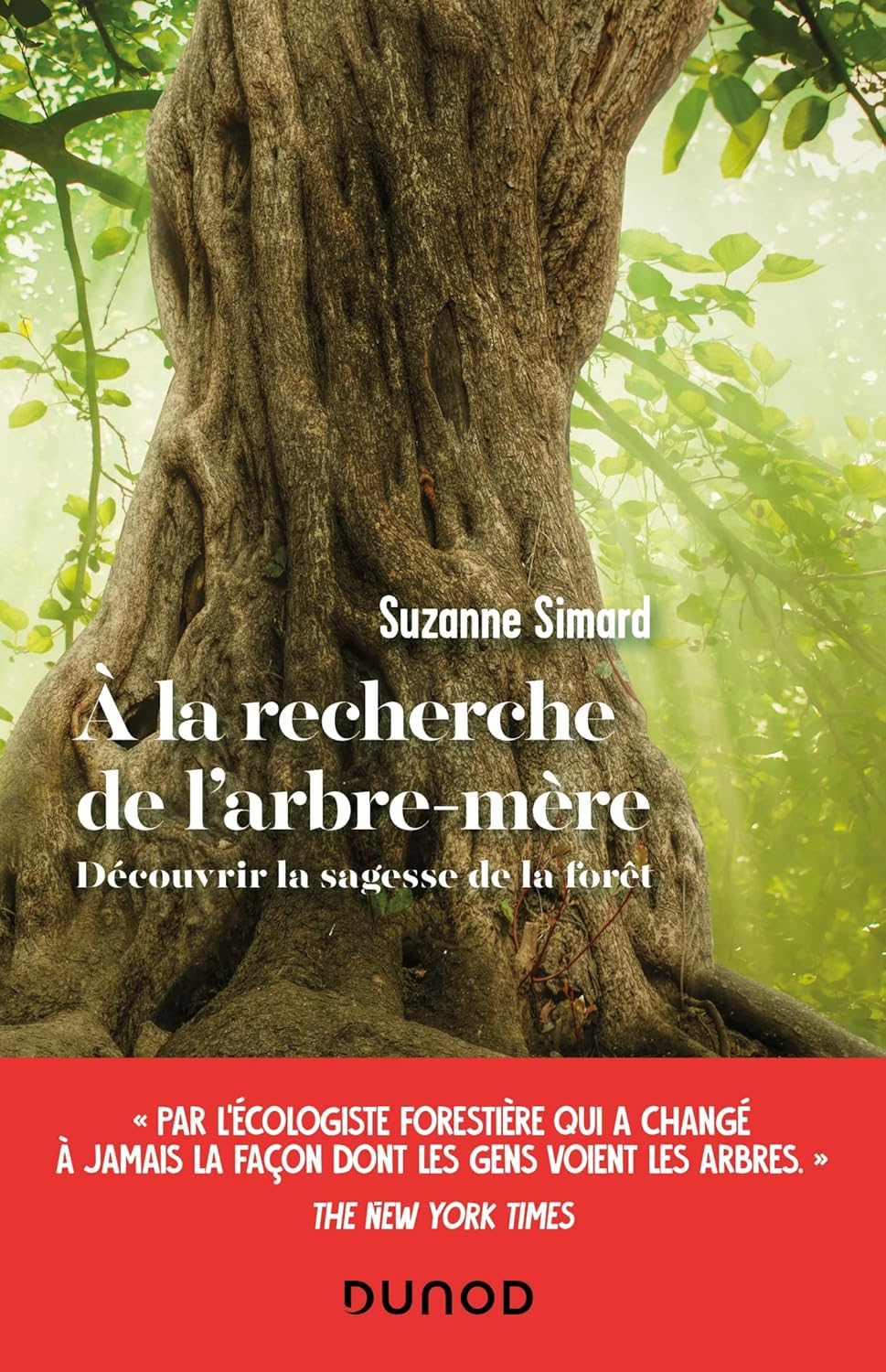 A la recherche de l'arbre-mère — Suzanne Simard