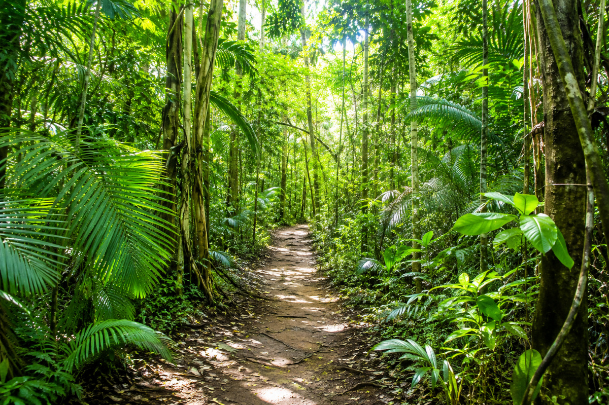 Nature et forêts